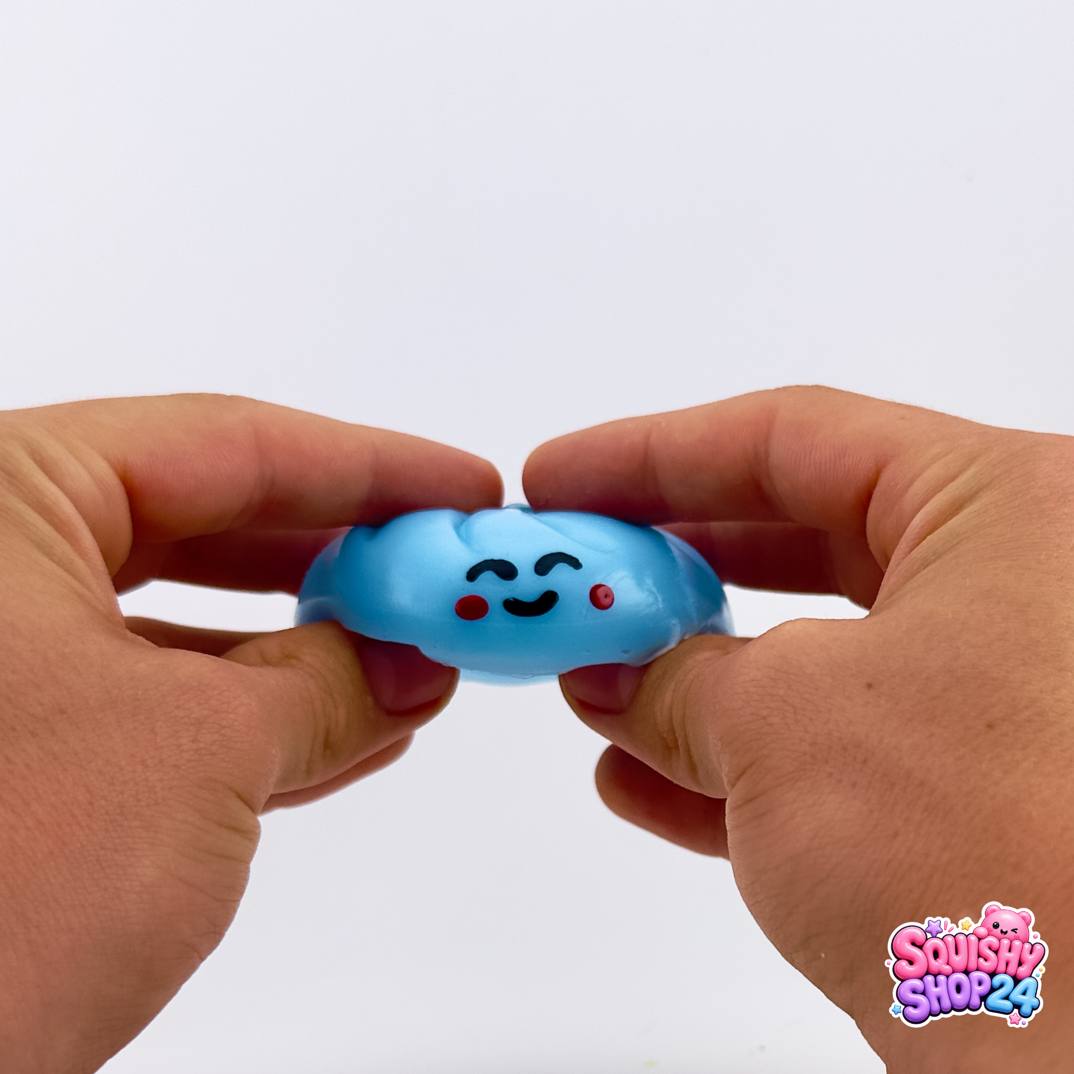 Dumpling Squishies Mystery Bag