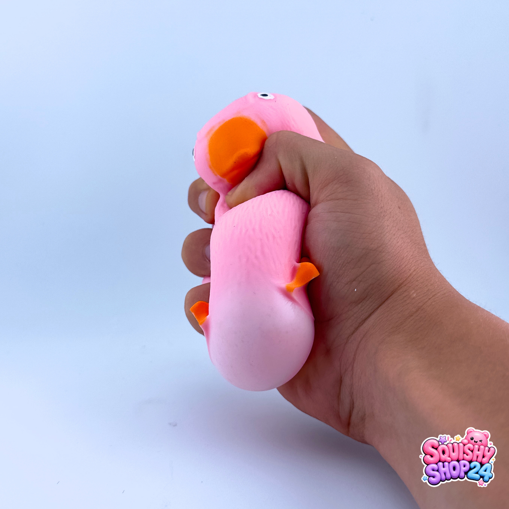 Squishy Ente