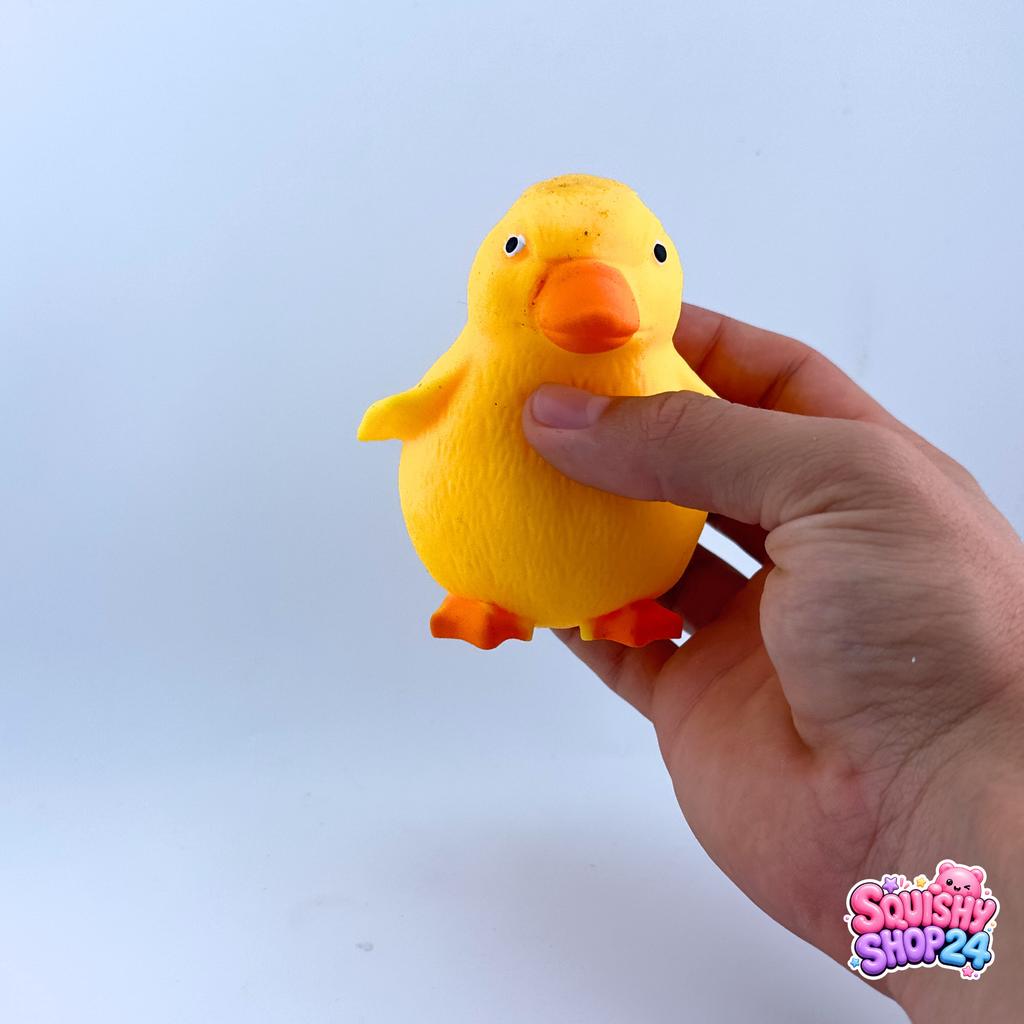Squishy Ente